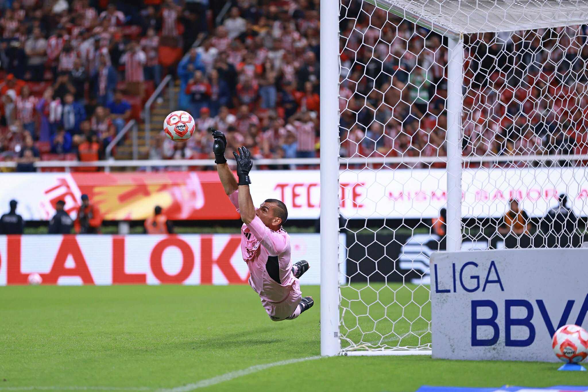 Salva Nahuel a Tigres y empatan 0-0 ante Chivas 1 549250957 1352065536525237 7581618896498832846 n