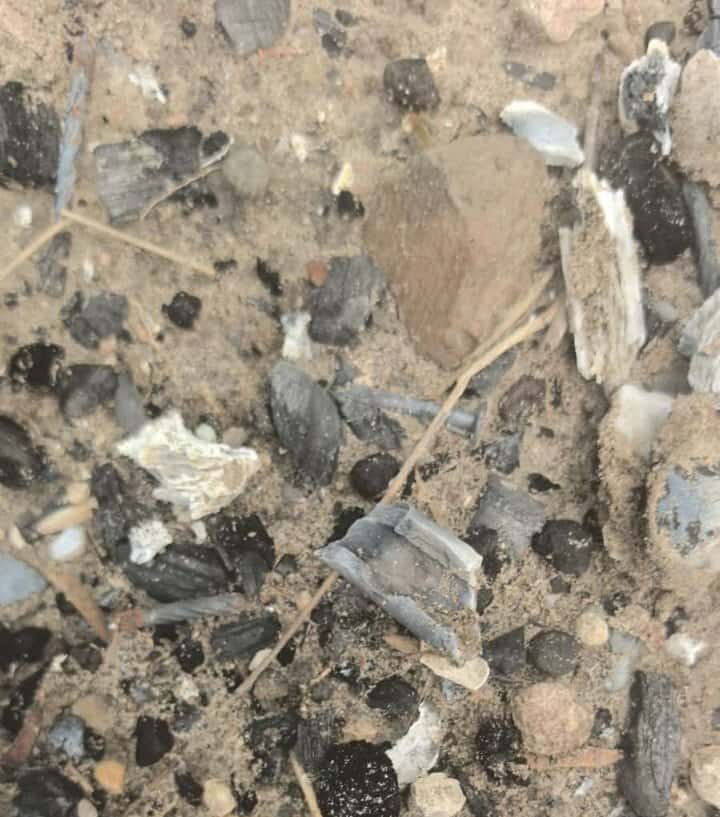 Localizan sitio de exterminio en Reynosa; hallan restos óseos humanos calcinados 1 552172379 828624486251653 1714093782222421905 n