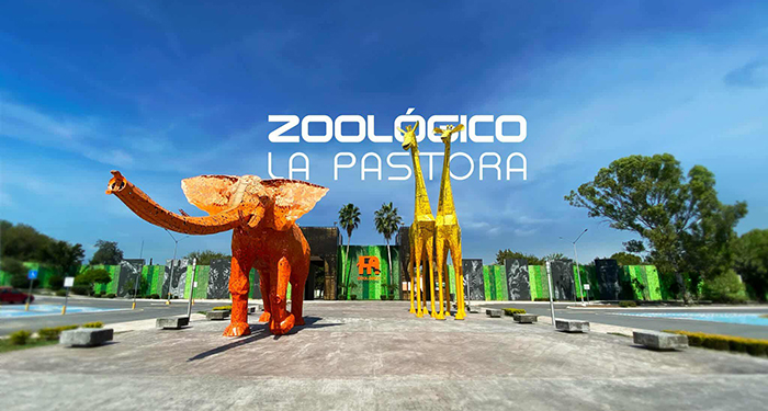 Destituyen a coordinador de Zoológico La Pastora por desatención a osa 1 553575201 4149925248658677 2595583907059648346 n