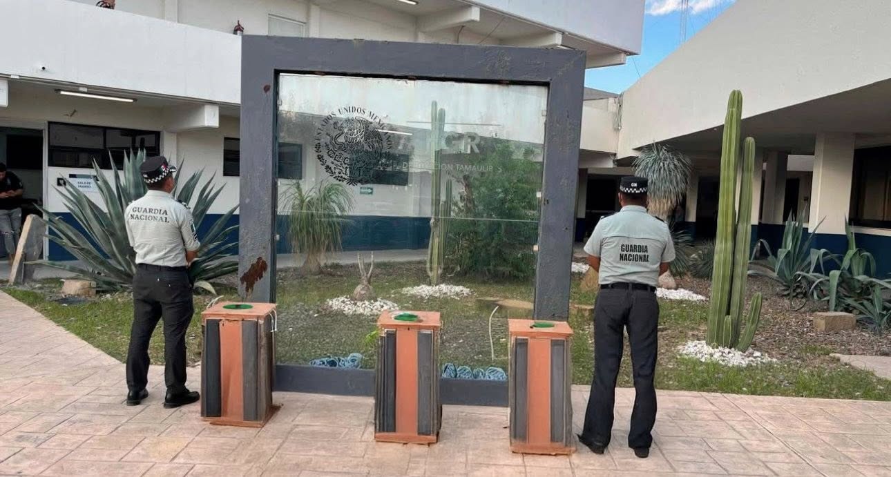 Rescatan a tres avestruces ocultas en paquetería en aeropuerto de Reynosa 2 553775995 1452300712515633 4961756667093424496 n