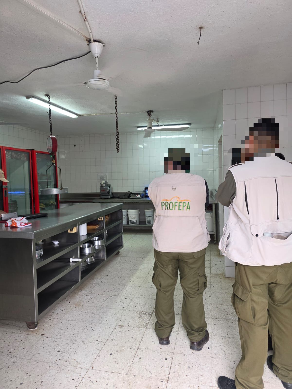 PROFEPA realiza nueva inspección al zoológico La Pastora 4 557605473 638942729149553 2368021084089963097 n