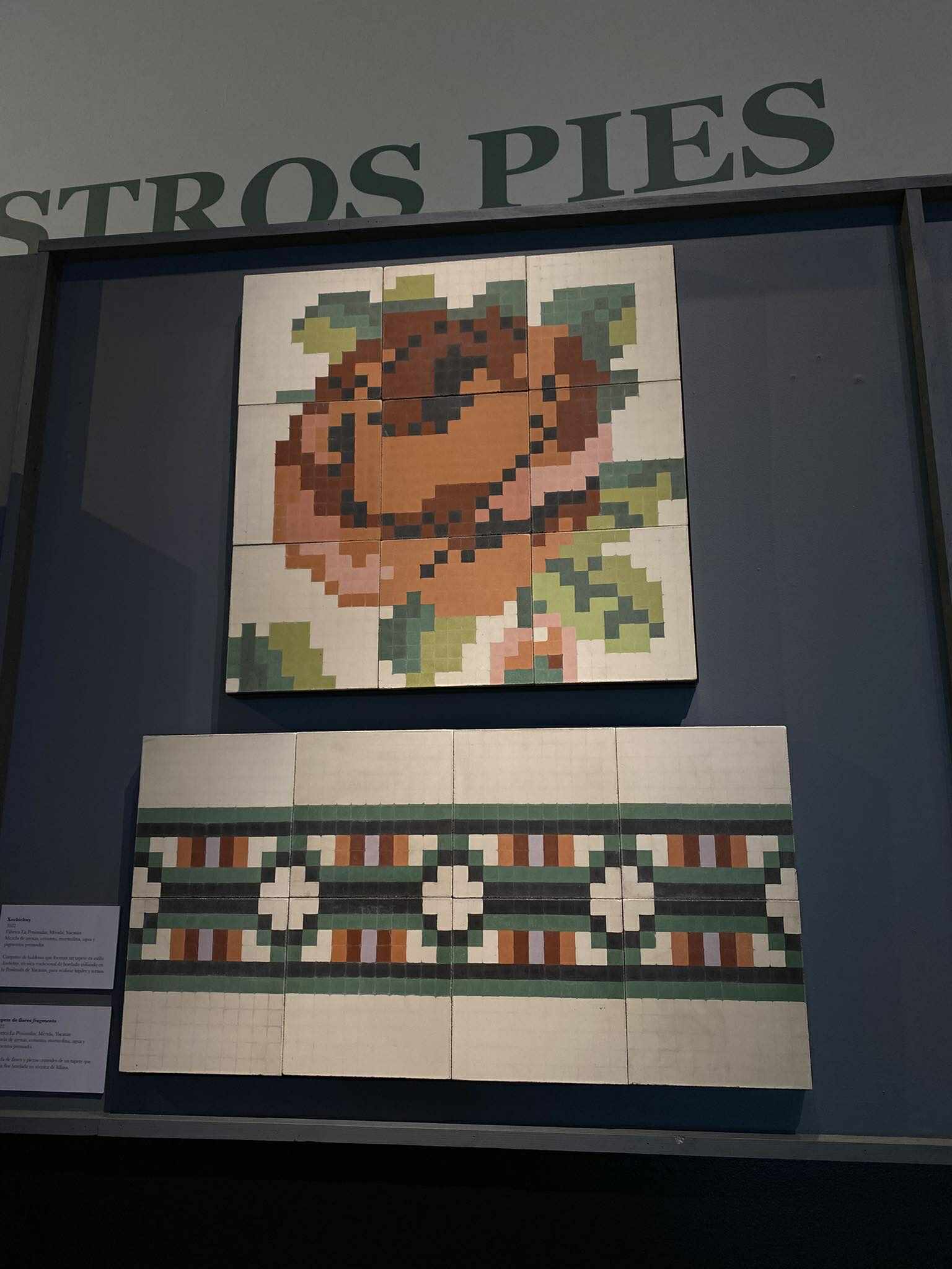 Bajo nuestros pies: Nueva Exposición en el Museo de Historia 7 564661471 1194888142503475 2592668451760682088 n