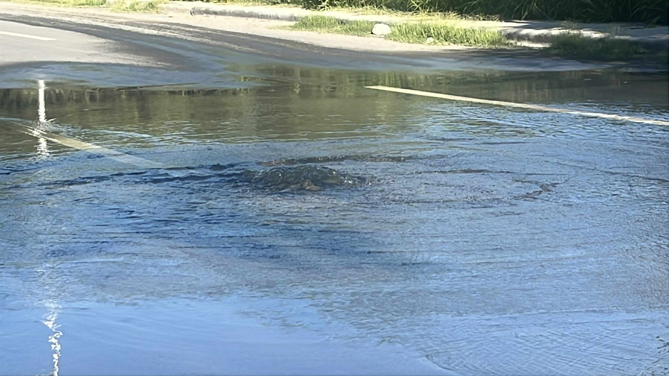 Aquejan fugas de agua sobre libramiento Luis Echeverría; Comapa ignora reportes 2 565068372 1768913923995567 4561142836770144603 n scaled 1