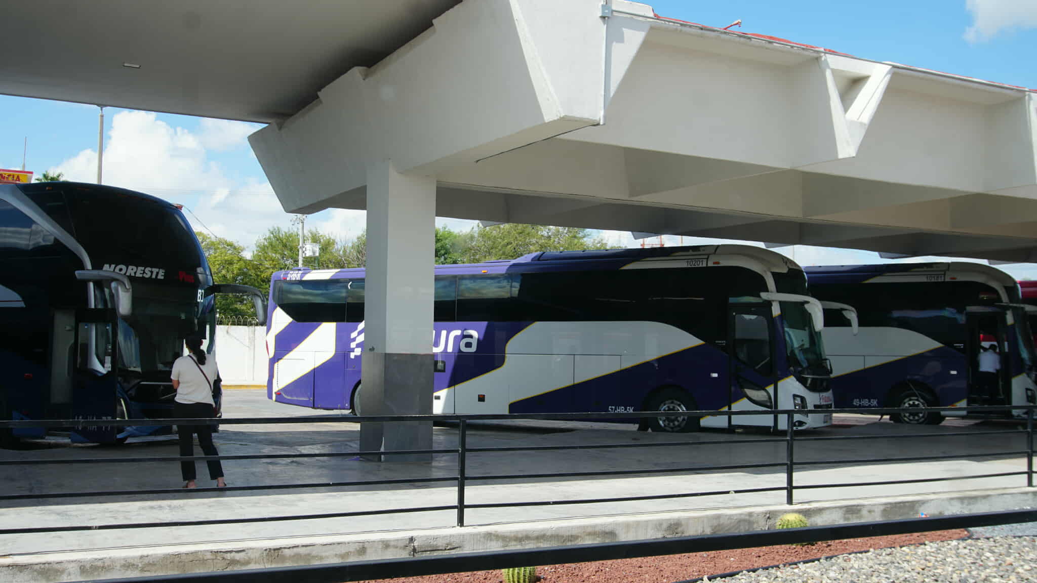 Reanudan viajes foráneos de Reynosa hacia Veracruz 1 565077255 2020411375480784 4571000224192949684 n