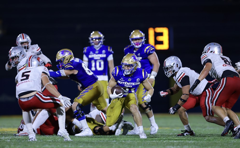 Auténticos Tigres se imponen a Linces en duelo de ofensivas 23 IMG 5161