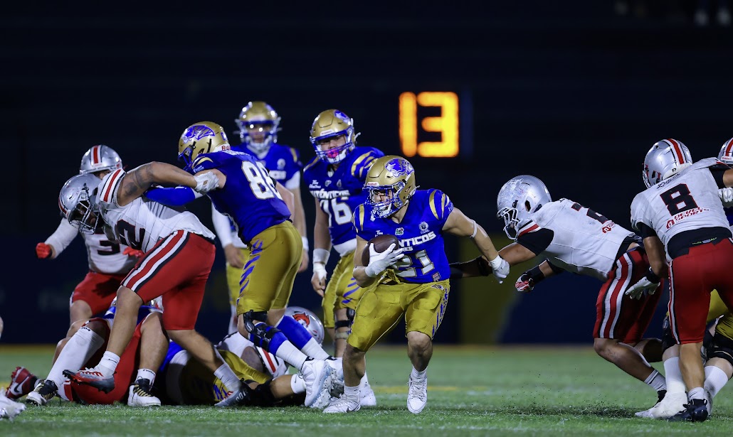 Auténticos Tigres se imponen a Linces en duelo de ofensivas 21 IMG 5162