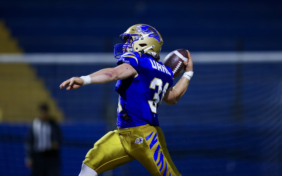 Auténticos Tigres se imponen a Linces en duelo de ofensivas 32 IMG 5171