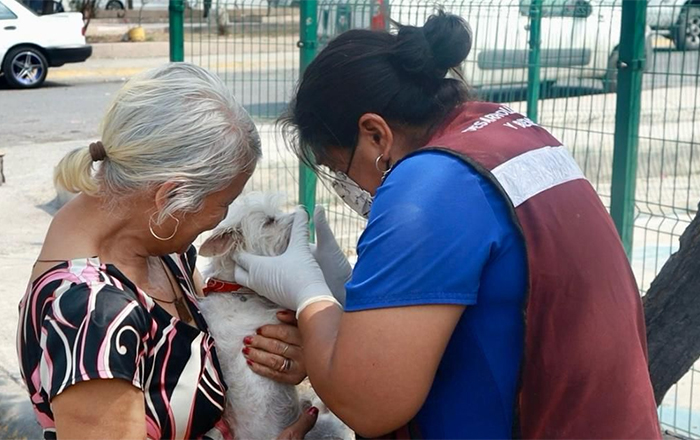 Nava lleva atención veterinaria a colonias 1 PERRITO 2 2