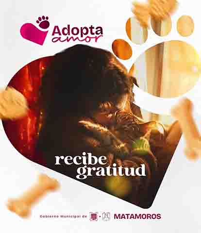 POSTER 2