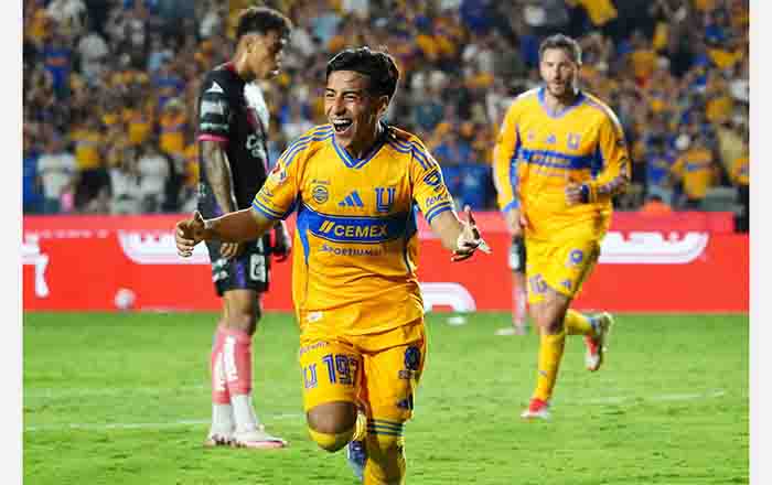 'No nos falta nada para competir': Guido Pizarro 1 TIGRES