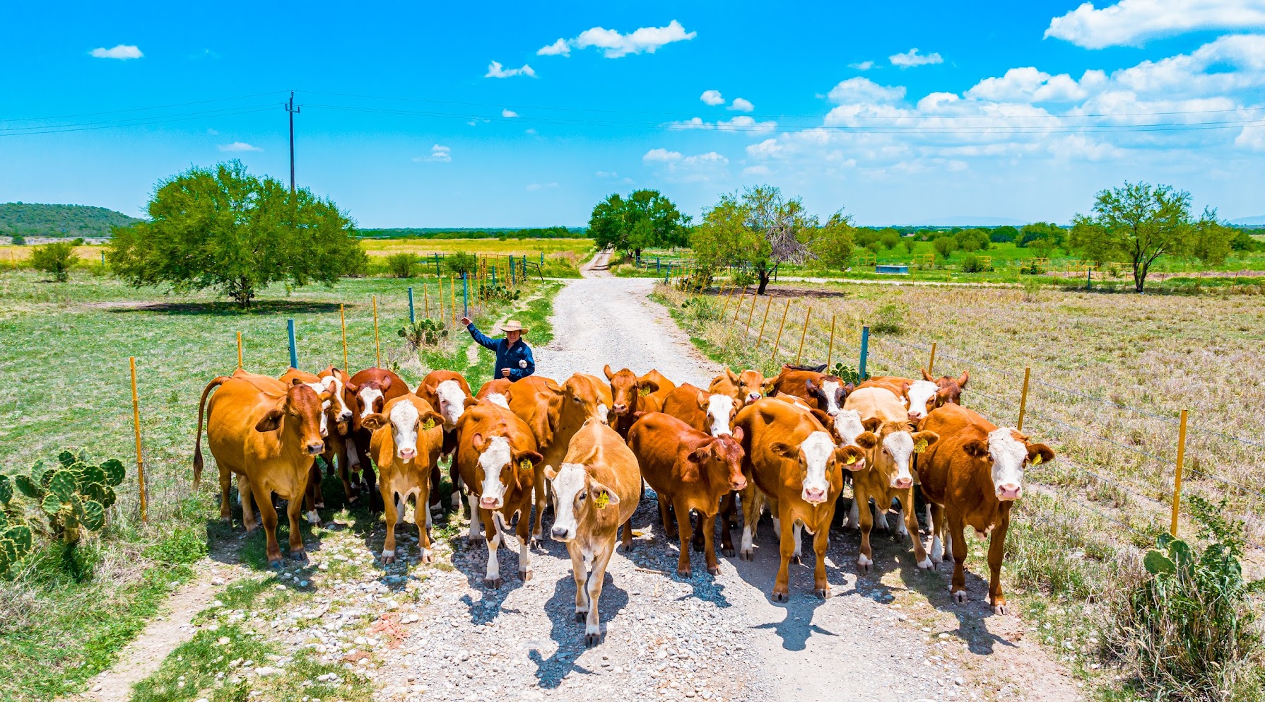 Creará UANL en Linares Centro de Desarrollo de Nutrición Animal 1 UANL 105