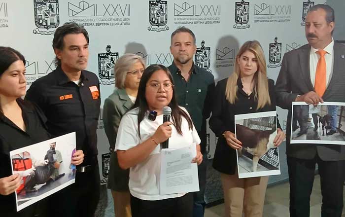 Tipificar como delito grave maltrato animal, plantean diputados de MC 1 co